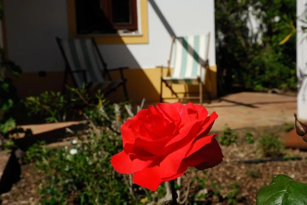 Vale Do Guizo: Casa Poente On The Contryside, Close By The Sea. Aljezur 0*,  Portugal