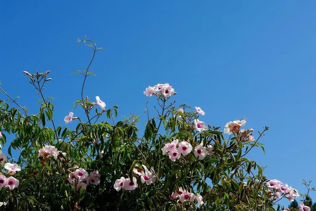 Holiday home Vale Do Guizo: Casa Poente On The Contryside, Close By The Sea. Aljezur